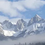 51 *